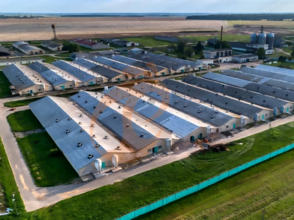 How To Calculate ROI For Large H Type Chicken Cage Farms