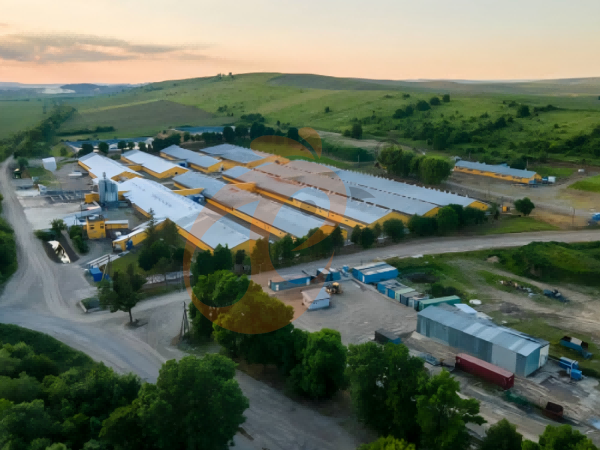 Ghana Poultry House Design: Structure, Climate Control, 6 Essential Equipment
