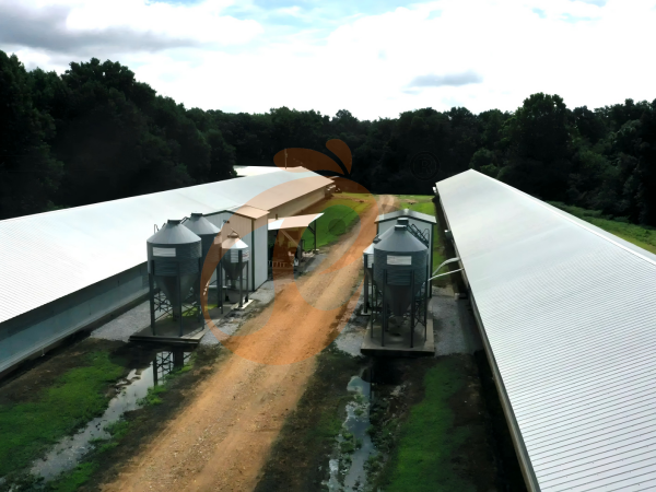 Poultry House Design 2026: Cost, Materials, And Ventilation