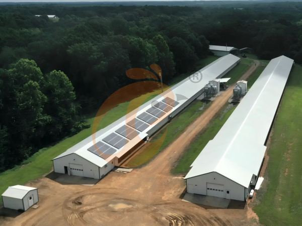 5 Steps To Expand Or Upgrade Your Poultry Farm For Maximum Profit