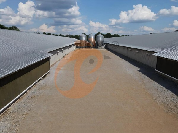 Prefabricated Poultry House: Fast Installation In 7–10 Days 