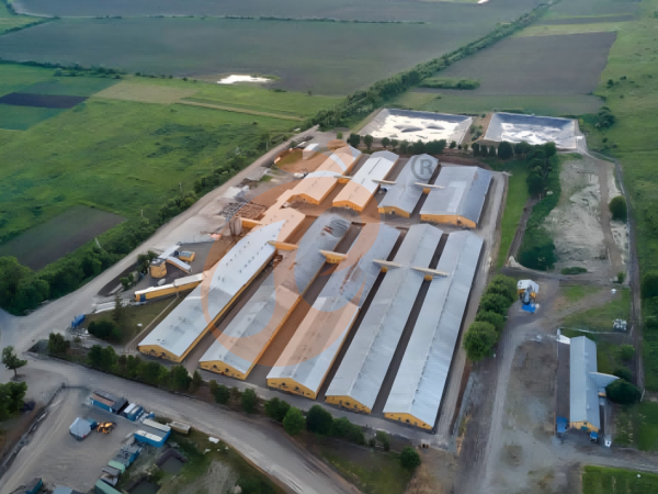 large poultry farm house (9)