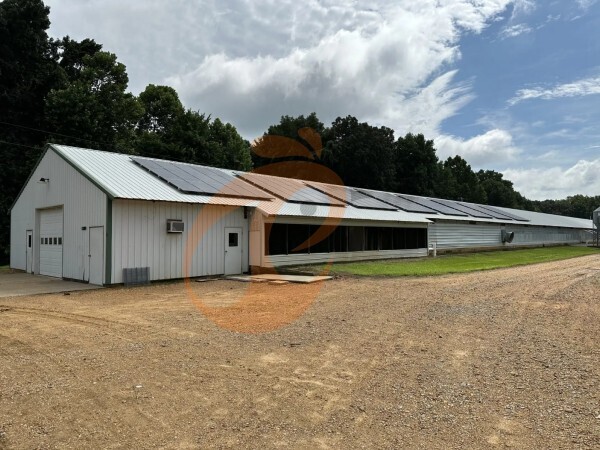 Start Poultry Farm 2026: 5 Steps For Farm Automation And Production Optimization