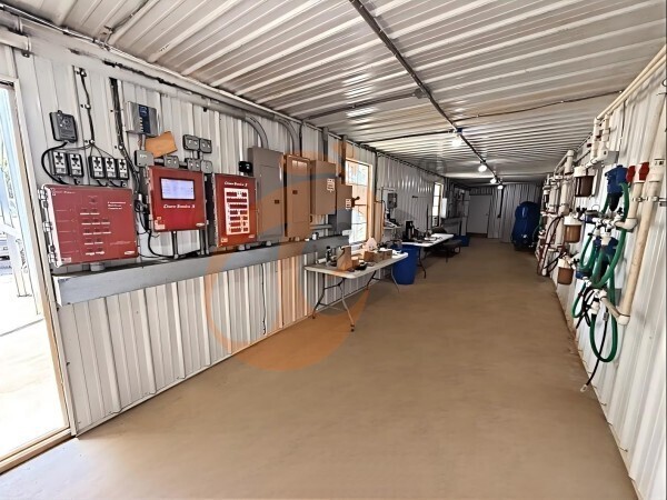 Egypt Poultry Farming: Start Guide With Farm Layout Design And Essential Equipment