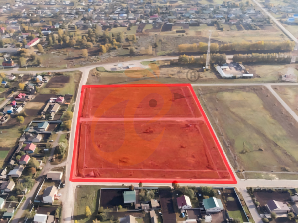 Ghana Poultry Cage Purchase: Expert Tips For Small To Large Farms