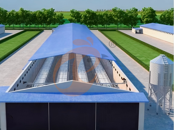 Prefab steel poultry house (2)