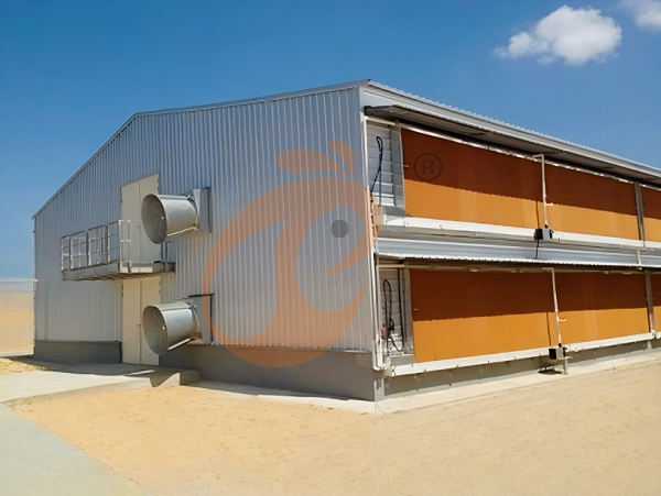 Prefab steel poultry house (6)