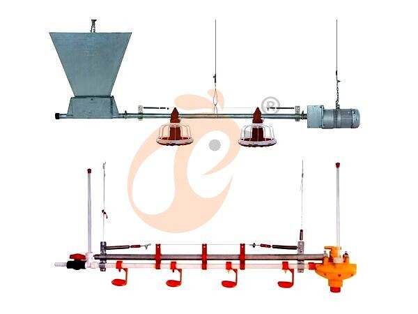 deep litter system (12)