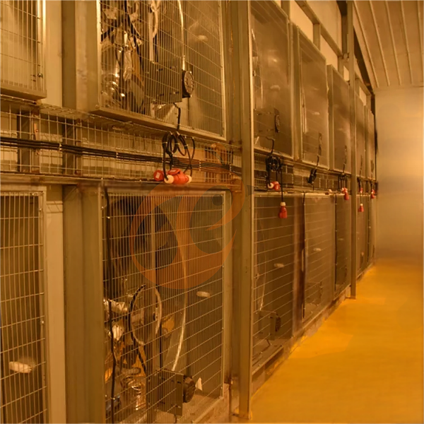 poultry house ventilation 2 (4)
