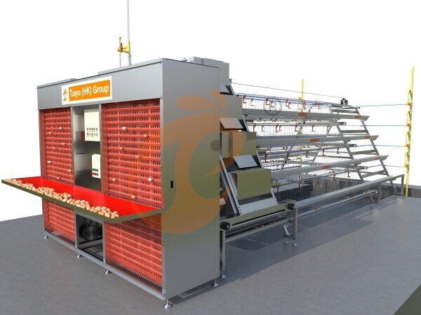 How Do Optimized H Type Poultry Cages Reduce Feed Wastage?