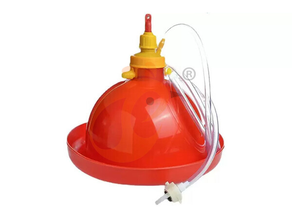 Nigeria Branch Offer Poultry Farm Business Plan, Manufacture Poultry Farm Equipment