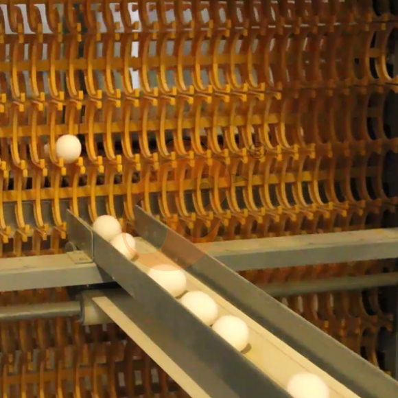 layer battery cage system (5) layer battery cage system (5)