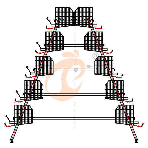 layer battery cage system (31)