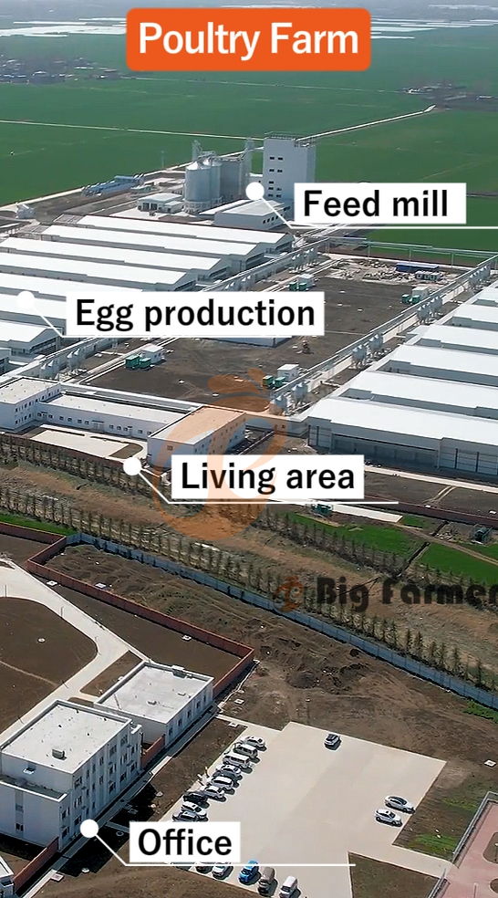 H type automatic layer chicken cage  (1)