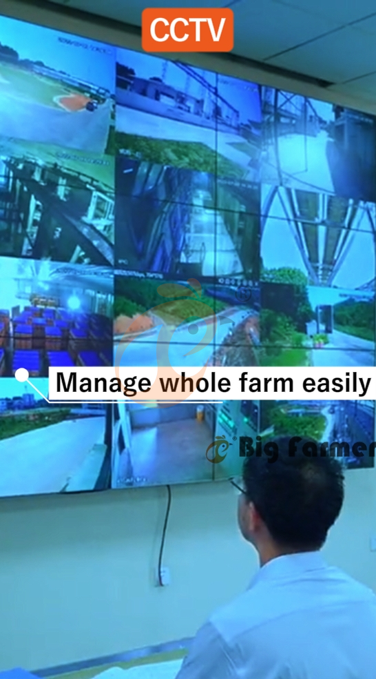 H type automatic layer chicken cage  (13)