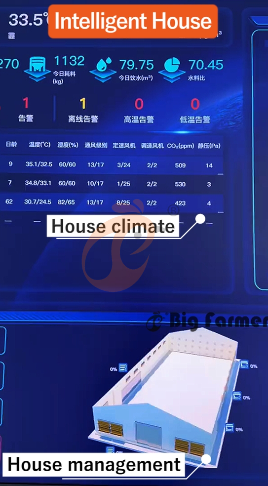 H type automatic layer chicken cage  (17)