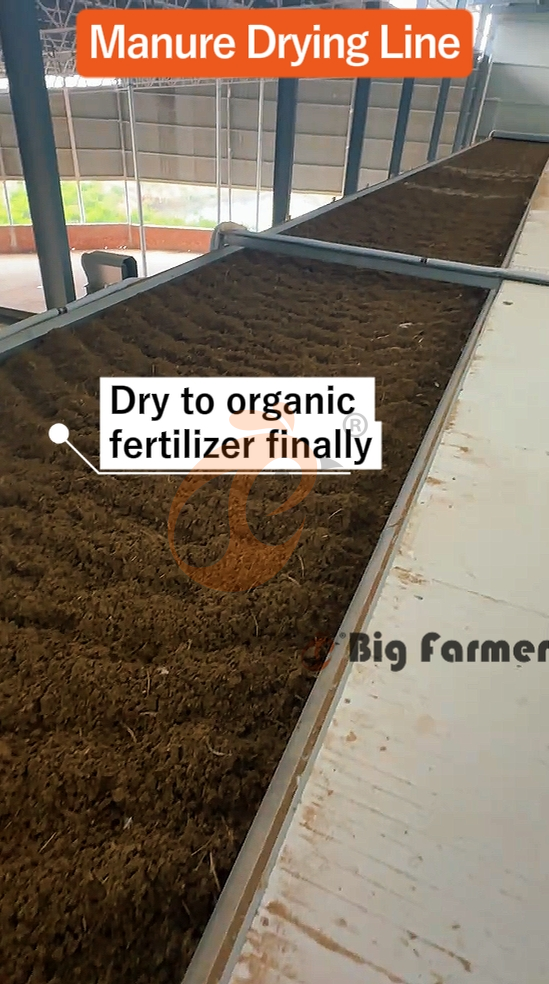 H type automatic layer chicken cage  (6)