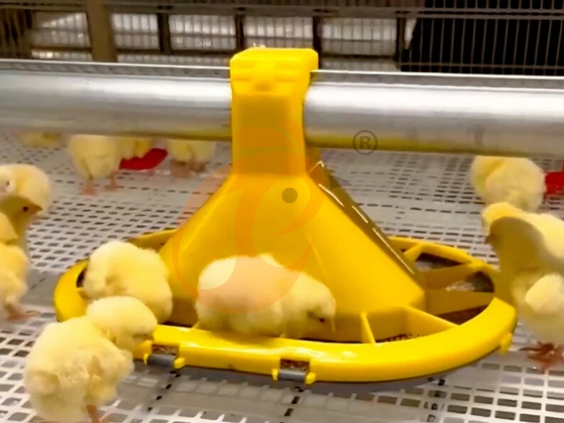 Automatic Harvesting H Frame Broiler Chicken Cage For Sale