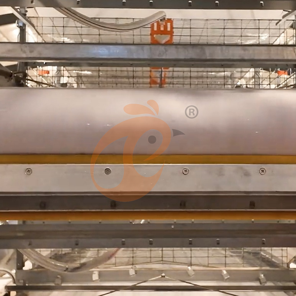 broiler battery cage (16)