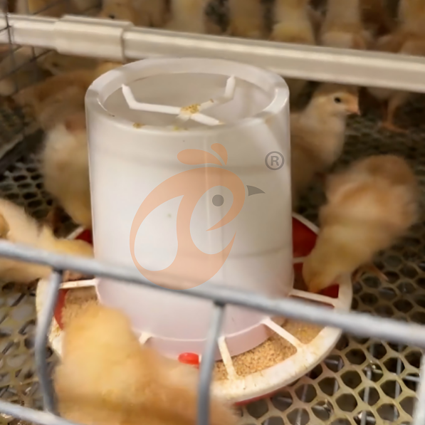 brooder battery cage system (4)