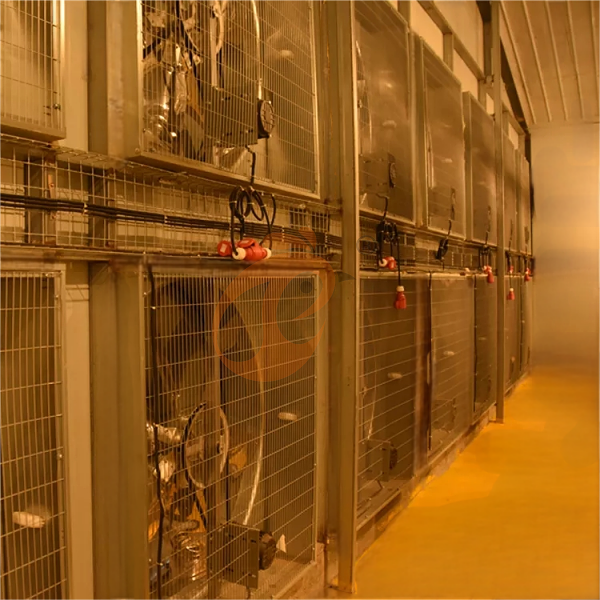 Poultry house ventilation (3)