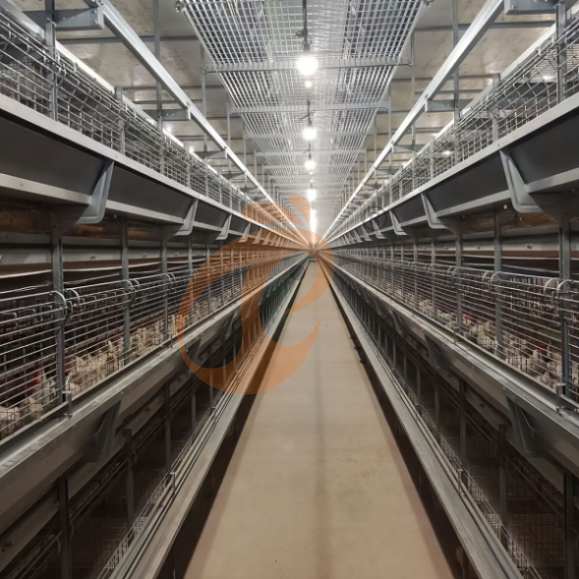 brooder battery cage system (2)