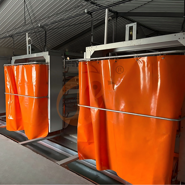 Battery cage system for brooder (20)