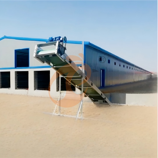 Battery cage system for brooder (21)