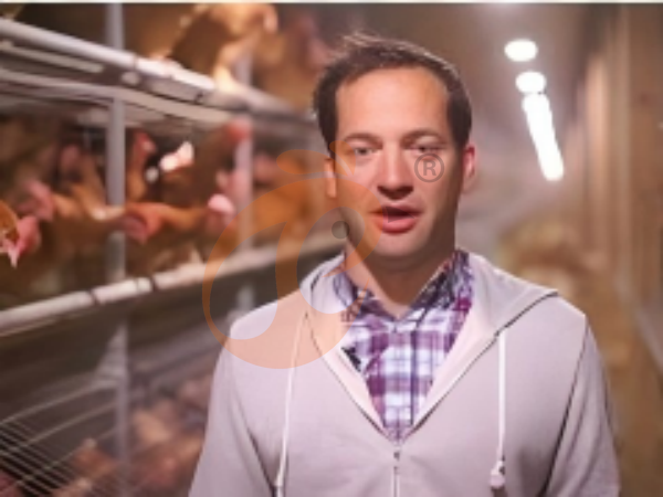 Layer Chicken Cage Management | 7 Key Tips For Higher Egg Yield