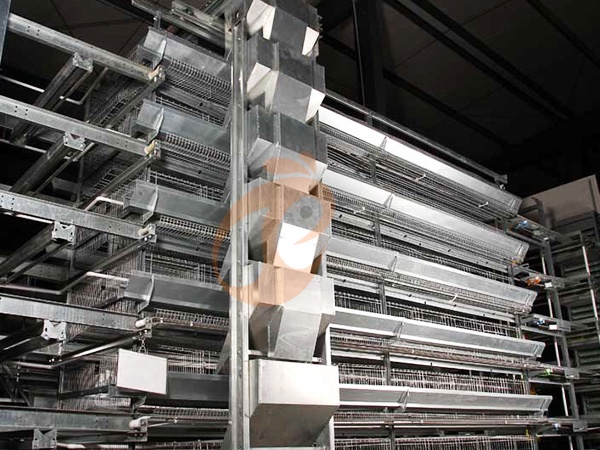 Feed Distribution Equipment Price Check: Top Popular & Recommended Models