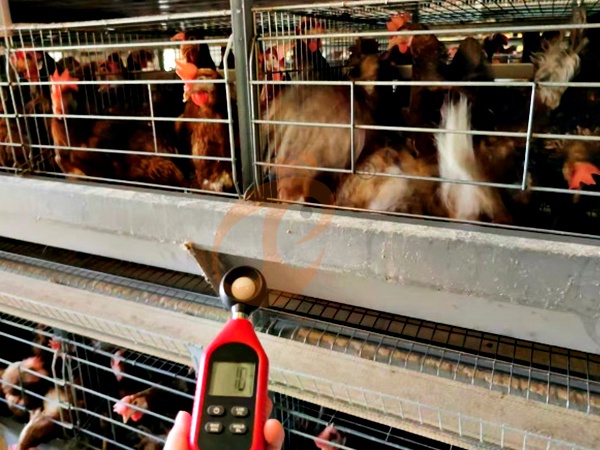 Chicken Coop Monitoring & Environmental Sensors Buying Guide: Popular Search Questions