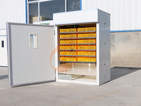 Incubator Price & Buying Guide: Features, Popular Brand & Hot Types