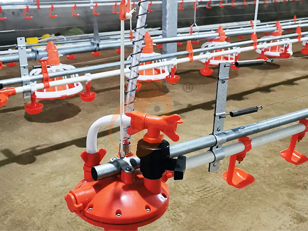 Poultry Waterer Buying Guide: Commonly Searched Types & Recommendations Poultry Waterer Buying Guide: Commonly Searched Types & Recommendations