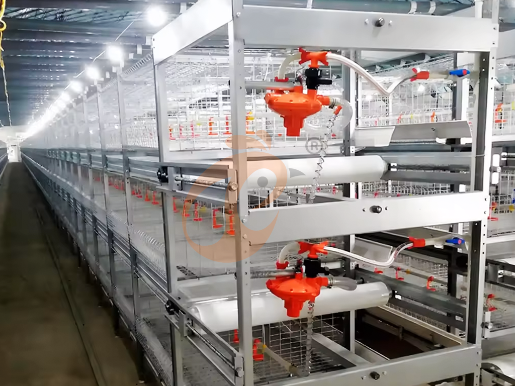 Automatic Poultry Water System Buying Guide: Price, Cleaning & Frequently Asked Questions Automatic Poultry Water System Buying Guide: Price, Cleaning & Frequently Asked Questions