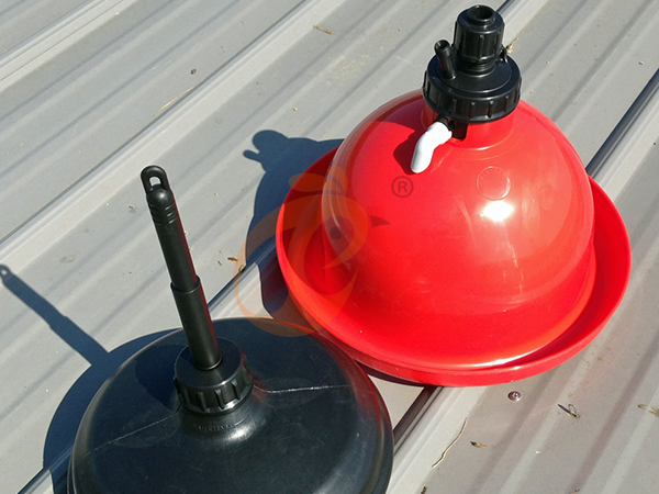 How To Use Pralson Feeders | 6 Practical Steps For Chicken Farms How To Use Pralson Feeders | 6 Practical Steps For Chicken Farms