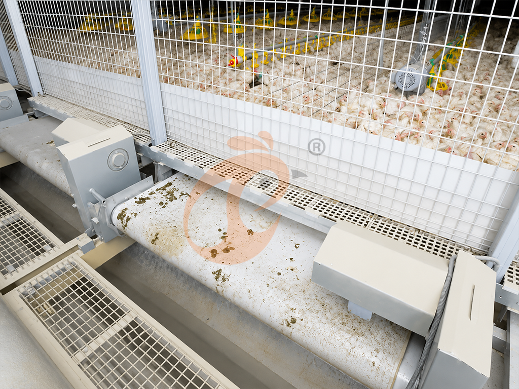 Automatic Manure Removal Equipment Buying Guide: Brand, Price & Popular Search Keywords