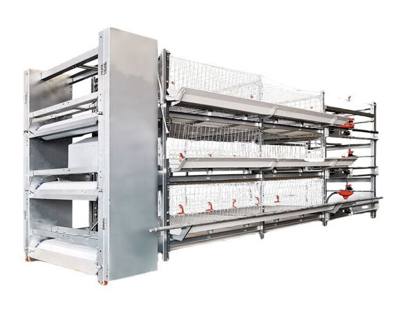 Type 1 broiler cage