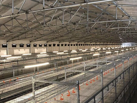 其他图片 (1).jpg