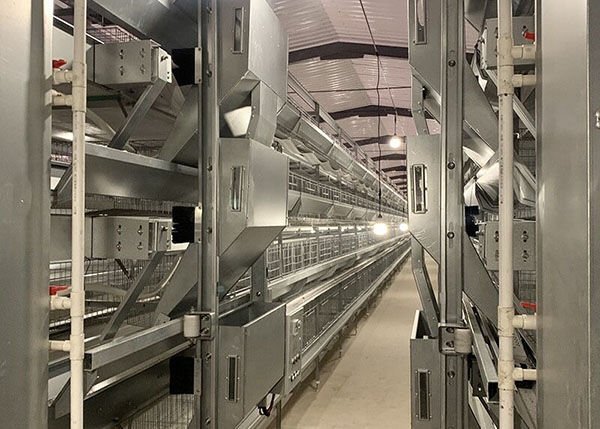 其他图片 (2).jpg