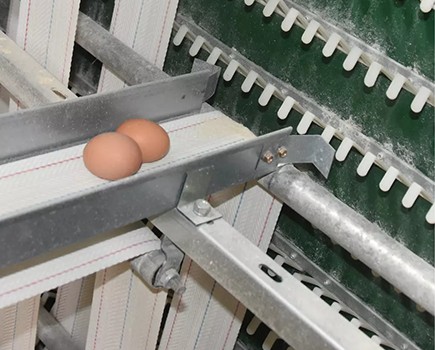 10 effectiveness of battery cage system