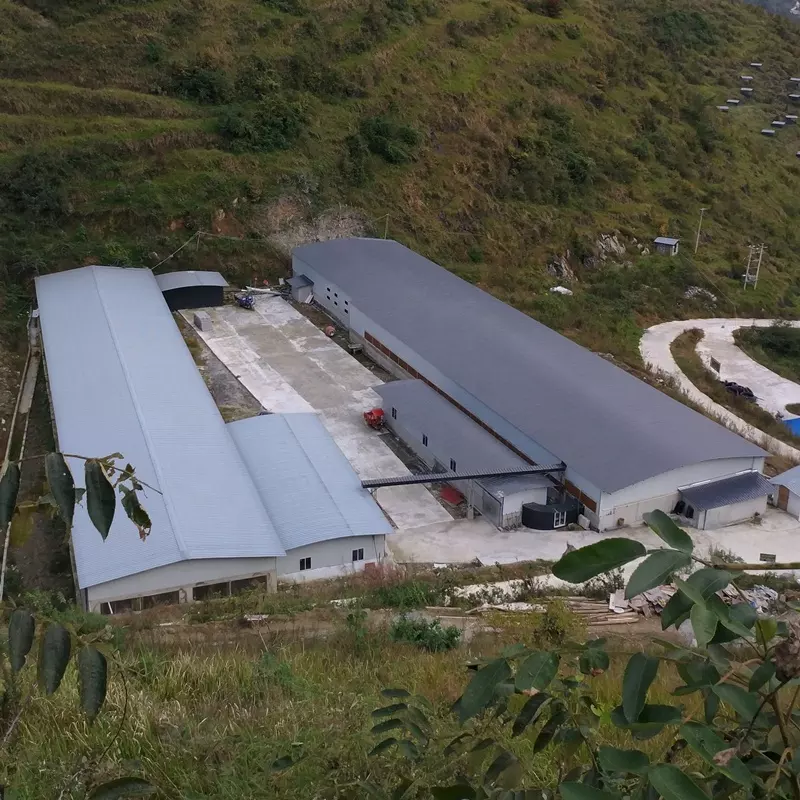 Efficiency of poultry cage system in poultry