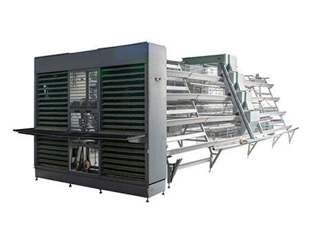 Types of poultry farming cages according to it's application