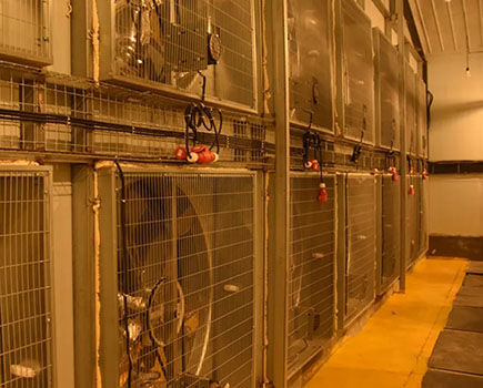 What are essential parts of chicken cage