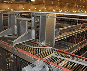 What are essential parts of chicken cage