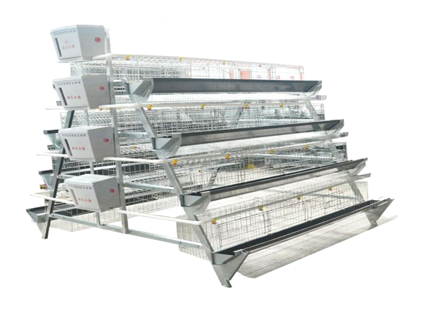 Type 3 layer cage