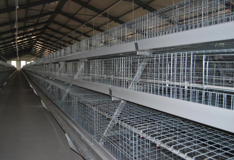 Type 2 broiler cage