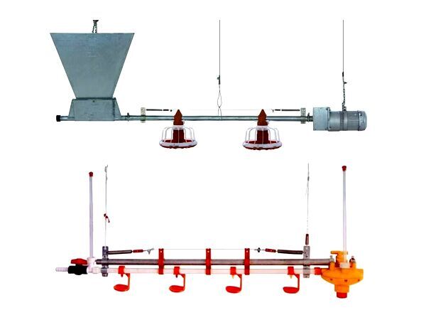 Broiler deep litter system