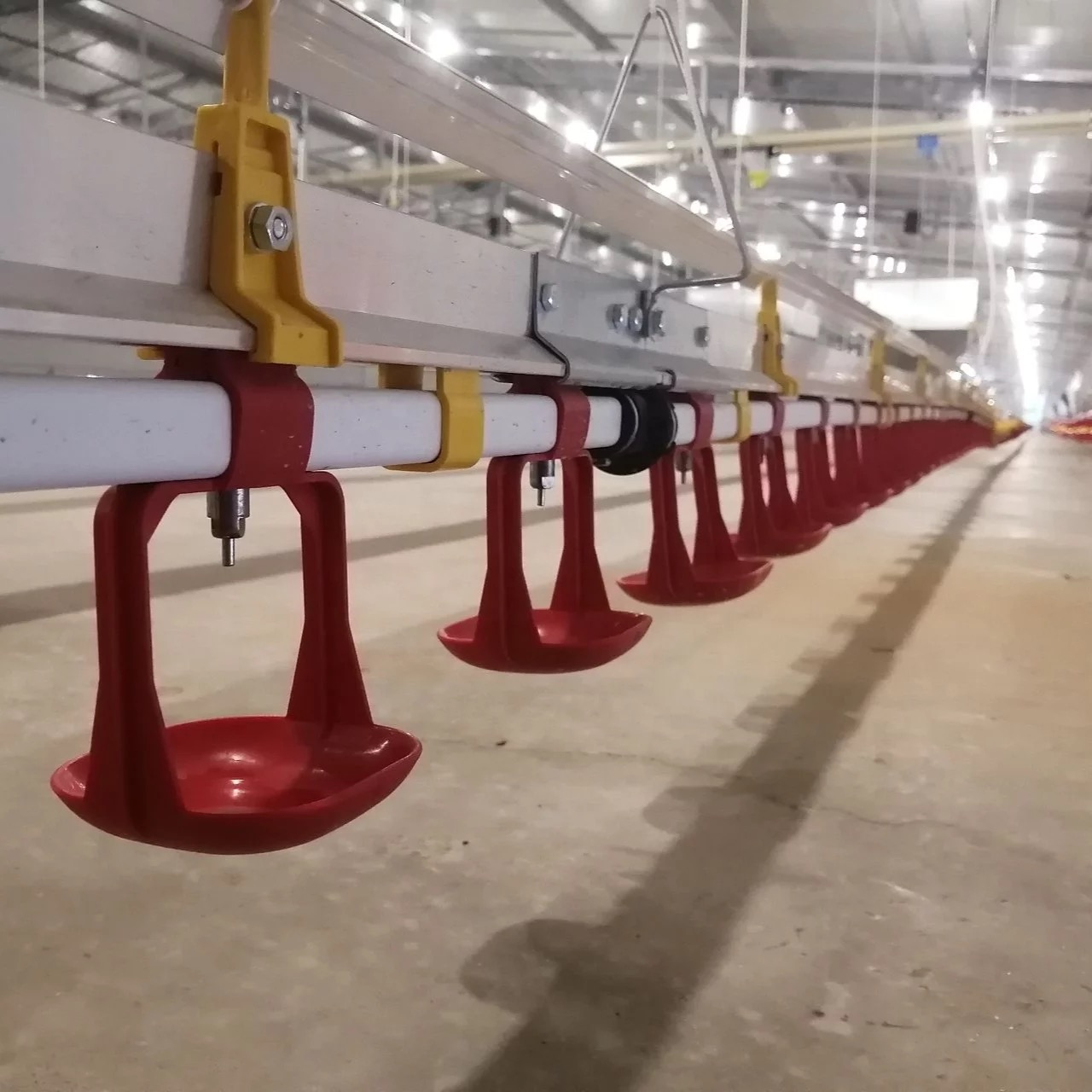 Broiler deep litter system
