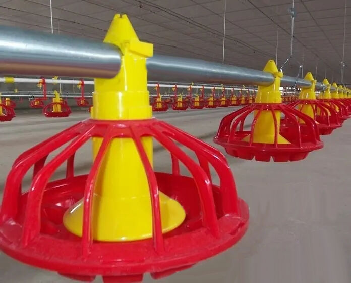 Broiler deep litter system