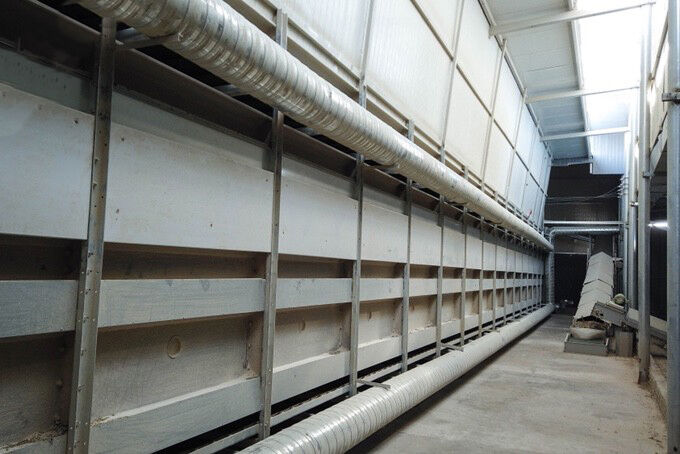 Manure drying system